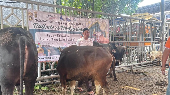 Sosok Iyung Jadi Perhatian Saat Iduladha, Jagal Senior Berpengalaman 47 Tahun Potong Hewan Kurban