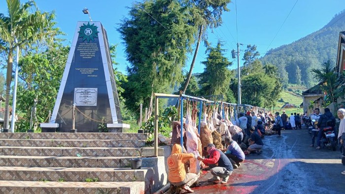 Dusun Krajan Dipadati Hewan Kurban, Antusiasme Warga Warnai Suasana Iduladha