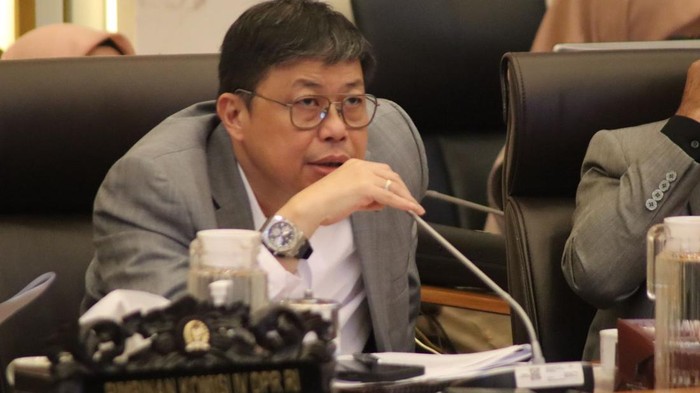 Waka Komisi IV DPR Dorong Reforestasi dalam Program Rehabilitasi Pascabencana di Sumatera