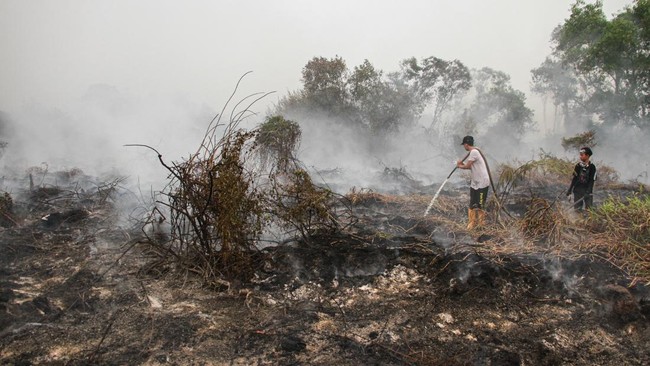 Malaysia Tetapkan Darurat Kabut Asap di Serian Sarawak